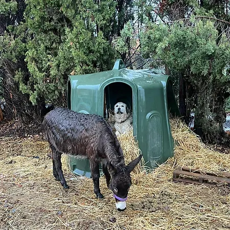 Vakantiehuis Mobile Homes A La Ferme Ille-sur-Têt